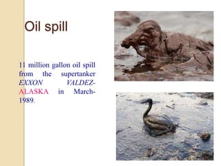 Oil spill
11 million gallon oil spill
from the supertanker
EXXON VALDEZ-
ALASKA in March-
1989.
 
