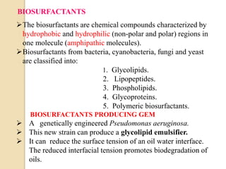 The biosurfactants are chemical compounds characterized by
hydrophobic and hydrophilic (non-polar and polar) regions in
one molecule (amphipathic molecules).
Biosurfactants from bacteria, cyanobacteria, fungi and yeast
are classified into:
1. Glycolipids.
2. Lipopeptides.
3. Phospholipids.
4. Glycoproteins.
5. Polymeric biosurfactants.
BIOSURFACTANTS PRODUCING GEM
 A genetically engineered Pseudomonas aeruginosa.
 This new strain can produce a glycolipid emulsifier.
 It can reduce the surface tension of an oil water interface.
The reduced interfacial tension promotes biodegradation of
oils.
BIOSURFACTANTS
 