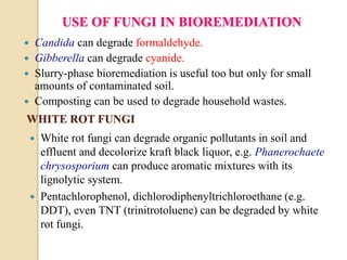 USE OF FUNGI IN BIOREMEDIATION
 Candida can degrade formaldehyde.
 Gibberella can degrade cyanide.
 Slurry-phase bioremediation is useful too but only for small
amounts of contaminated soil.
 Composting can be used to degrade household wastes.
 White rot fungi can degrade organic pollutants in soil and
effluent and decolorize kraft black liquor, e.g. Phanerochaete
chrysosporium can produce aromatic mixtures with its
lignolytic system.
 Pentachlorophenol, dichlorodiphenyltrichloroethane (e.g.
DDT), even TNT (trinitrotoluene) can be degraded by white
rot fungi.
WHITE ROT FUNGI
 
