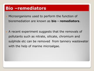 Bio –remediators
 Microorganisms used to perform the function of
bioremediation are known as bio - remediators.
 A recent experiment suggests that the removals of
pollutants such as nitrate, silicate, chromium and
sulphide etc can be removed from tannery wastewater
with the help of marine microalgae.
 