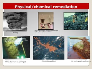 Physical/chemical remediation
http://beforeitsnews.com/story/99/939/What_
Is_The_Corexit_Dispersant.html
Oil washing up in wetland area
Adding dispersant to gushing oil
Burning
Microbial degradation
 