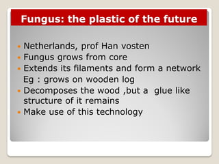 Fungus: the plastic of the future
 Netherlands, prof Han vosten
 Fungus grows from core
 Extends its filaments and form a network
Eg : grows on wooden log
 Decomposes the wood ,but a glue like
structure of it remains
 Make use of this technology
 