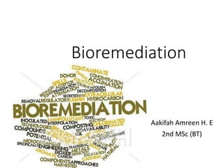 Bioremediation
Aakifah Amreen H. E
2nd MSc (BT)
 