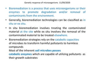 • Bioremediation is a process that uses microorganisms or their
enzymes to promote degradation and/or removal of
contaminants from the environment.
• Generally, bioremediation technologies can be classified as in
situ or ex situ.
• In situ bioremediation involves treating the contaminated
material at the site while ex situ involves the removal of the
contaminated material to be treated elsewhere.
• Bioremediation strategies rely on the catabolic capacities
of microbes to transform harmful pollutants to harmless
compounds
Most of the inherent soil microbes posses
catabolic enzymes which are capable of utilizing pollutants as
their growth substrates
Genetic response of microorganisms 11/09/2020
 