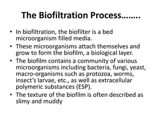 The Biofiltration Process……..
• In biofiltration, the biofilter is a bed
microorganism filled media.
• These microorganisms attach themselves and
grow to form the biofilm, a biological layer.
• The biofilm contains a community of various
microorganisms including bacteria, fungi, yeast,
macro-organisms such as protozoa, worms,
insect’s larvae, etc., as well as extracellular
polymeric substances (ESP).
• The texture of the biofilm is often described as
slimy and muddy
 