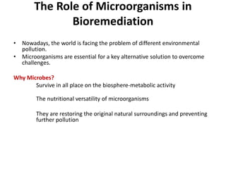 The Role of Microorganisms in
Bioremediation
• Nowadays, the world is facing the problem of different environmental
pollution.
• Microorganisms are essential for a key alternative solution to overcome
challenges.
Why Microbes?
Survive in all place on the biosphere-metabolic activity
The nutritional versatility of microorganisms
They are restoring the original natural surroundings and preventing
further pollution
 