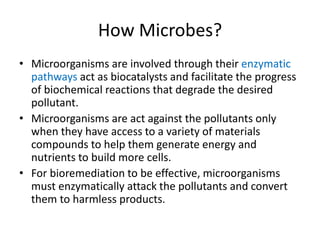 How Microbes?
• Microorganisms are involved through their enzymatic
pathways act as biocatalysts and facilitate the progress
of biochemical reactions that degrade the desired
pollutant.
• Microorganisms are act against the pollutants only
when they have access to a variety of materials
compounds to help them generate energy and
nutrients to build more cells.
• For bioremediation to be effective, microorganisms
must enzymatically attack the pollutants and convert
them to harmless products.
 