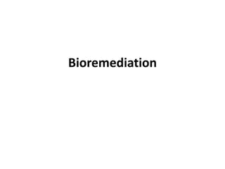 Bioremediation
 
