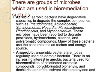 There are groups of microbes
which are used in bioremediation
such as:
 Aerobic: aerobic bacteria have degradative
capacities to degrade the complex compounds
such as Pseudomonas, Acinetobacter,
Sphingomonas, Nocardia, Flavobacterium,
Rhodococcus, and Mycobacterium. These
microbes have been reported to degrade
pesticides, hydrocarbons, alkanes, and
polyaromatic compounds. Many of these bacteria
use the contaminants as carbon and energy
source.
 Anaerobic: anaerobic bacteria are not as
regularly used as aerobic bacteria. There is an
increasing interest in aerobic bacteria used for
bioremediation of chlorinated aromatic
compounds, polychlorinated biphenyls, and
dechlorination of the solvent trichloroethylene and
 