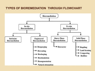TYPES OF BIOREMEDIATION THROUGH FLOWCHART
 