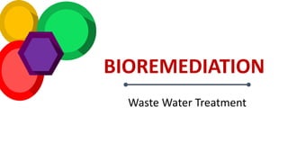 BIOREMEDIATION
Waste Water Treatment
 