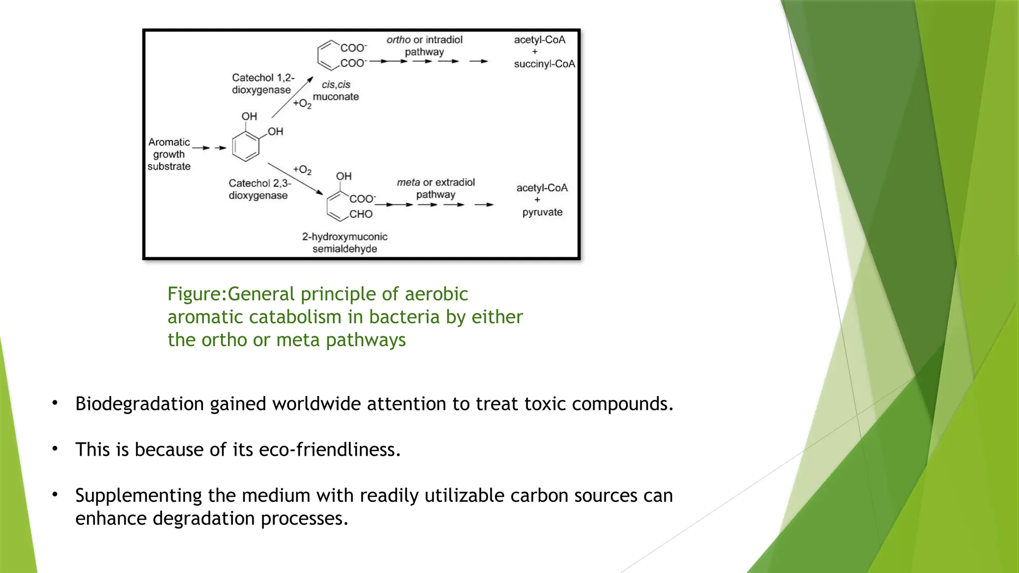 Figure:General principle of aerobic
aromatic catabolism in bacteria by either
the ortho or meta pathways
• Biodegradation gained worldwide attention to treat toxic compounds.
• This is because of its eco-friendliness.
• Supplementing the medium with readily utilizable carbon sources can
enhance degradation processes.
 