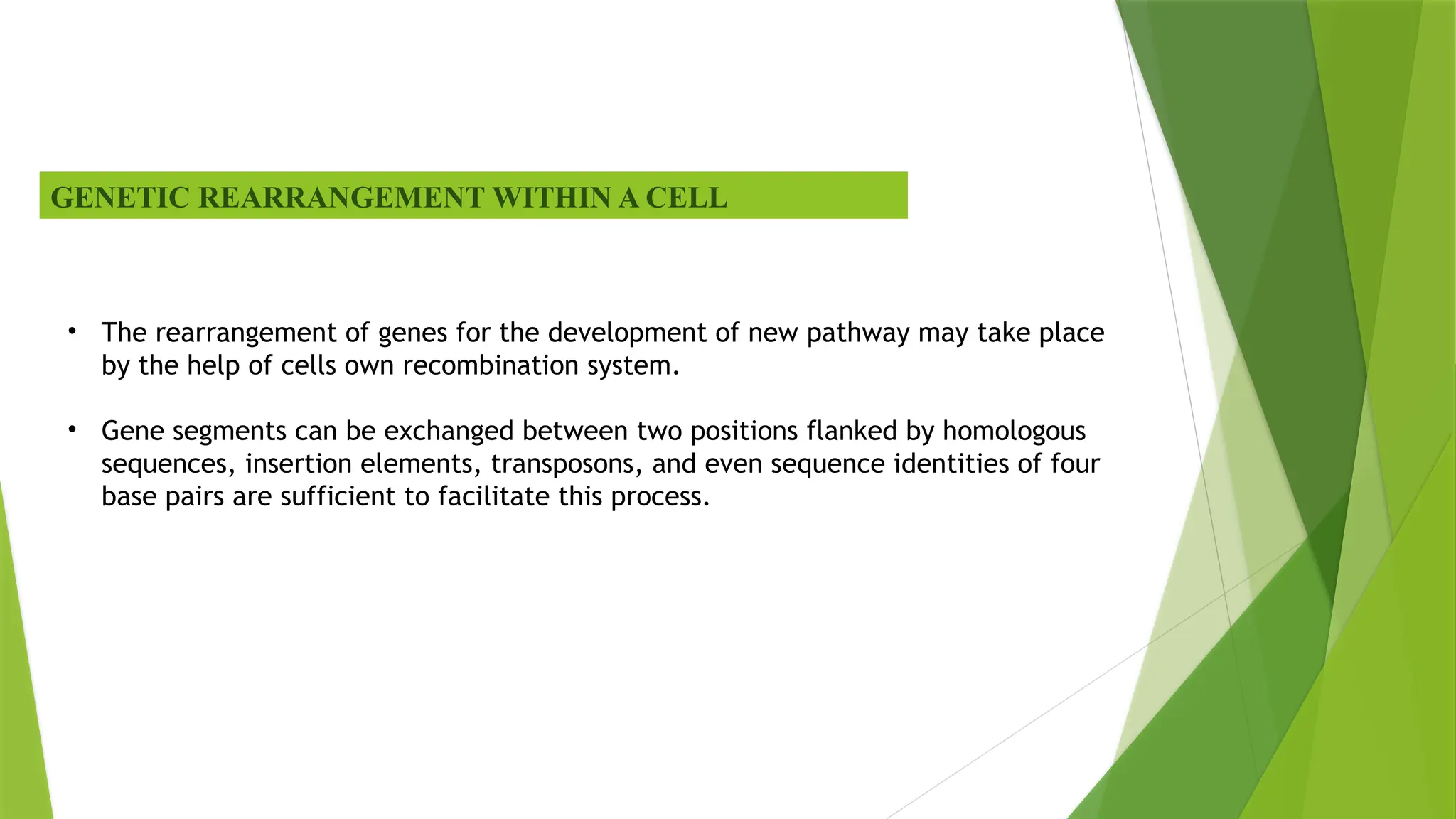 GENETIC REARRANGEMENT WITHIN A CELL
• The rearrangement of genes for the development of new pathway may take place
by the help of cells own recombination system.
• Gene segments can be exchanged between two positions flanked by homologous
sequences, insertion elements, transposons, and even sequence identities of four
base pairs are sufficient to facilitate this process.
 