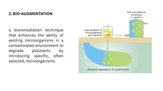The different types of bio-remediation and its importance. | PDF