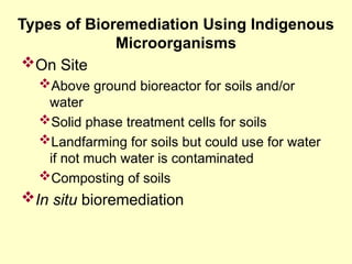 Bioremediation - Thammasat University.ppt