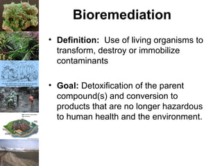 Bioremediation
• Definition: Use of living organisms to
transform, destroy or immobilize
contaminants
• Goal: Detoxification of the parent
compound(s) and conversion to
products that are no longer hazardous
to human health and the environment.
 
