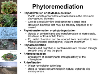 Phytoremediation
• Phytoextraction or phytoaccumulation
– Plants used to accumulate contaminants in the roots and
aboveground biomass
– Can be a relatively low cost option for a large area
– Results in biomass that must be properly disposed of or
reused
• Phytotransformation or phytodegradation
– Uptake of contaminants and transformation to more stable,
less toxic, or less mobile forms
– Eg. metal chromium can be reduced from hexavalent to less
mobile (and non-carcinogenic) trivalent chromium
• Phytostabilization
– Mobility and migration of contaminants are reduced through
sorption onto or into the plant
• Rhizodegradation
– Breakdown of contaminants through activity of the
rhizosphere
• Rhizofiltration
– Water remediation technique
– Used to reduce contamination in natural wetlands and
estuary areas.
 