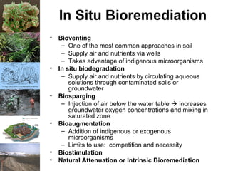 Bioremediation2 | PPT