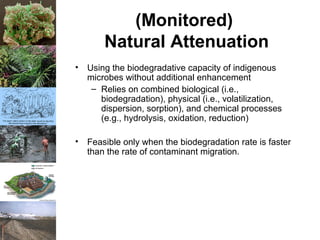 (Monitored)
Natural Attenuation
• Using the biodegradative capacity of indigenous
microbes without additional enhancement
– Relies on combined biological (i.e.,
biodegradation), physical (i.e., volatilization,
dispersion, sorption), and chemical processes
(e.g., hydrolysis, oxidation, reduction)
• Feasible only when the biodegradation rate is faster
than the rate of contaminant migration.
 
