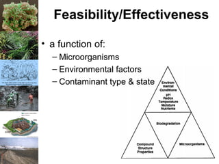 Feasibility/Effectiveness
• a function of:
– Microorganisms
– Environmental factors
– Contaminant type & state
 