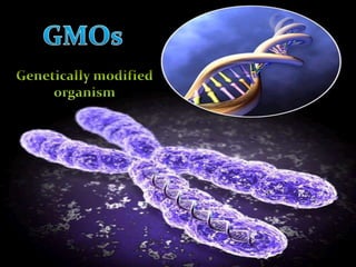 GMOsGenetically modifiedorganismThe genetically engineered micro organism (GEMs)enhance the ability of degrading the contaminants. It is also said to be as a “bioaugmentation”