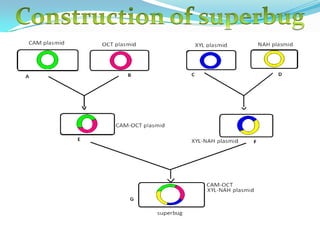 The bacterium Deinococcusradiodurans(the most radioresistant organism known) has been modified to consume and digest toluene and ionic mercury from highly radioactive nuclear waste.Strains of Deinococcusradiodurans