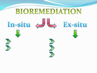 BIOREACTORCOMPOSTINGiNTRINSICengineeredLANDFaRMINGBIOREMEDIATIONIn-situEx-situ