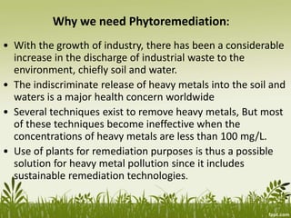 Why we need Phytoremediation:
• With the growth of industry, there has been a considerable
increase in the discharge of industrial waste to the
environment, chiefly soil and water.
• The indiscriminate release of heavy metals into the soil and
waters is a major health concern worldwide
• Several techniques exist to remove heavy metals, But most
of these techniques become ineffective when the
concentrations of heavy metals are less than 100 mg/L.
• Use of plants for remediation purposes is thus a possible
solution for heavy metal pollution since it includes
sustainable remediation technologies.
 