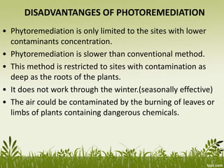 DISADVANTANGES OF PHOTOREMEDIATION
• Phytoremediation is only limited to the sites with lower
contaminants concentration.
• Phytoremediation is slower than conventional method.
• This method is restricted to sites with contamination as
deep as the roots of the plants.
• It does not work through the winter.(seasonally effective)
• The air could be contaminated by the burning of leaves or
limbs of plants containing dangerous chemicals.
 