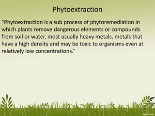 Phytoextraction
“Phytoextraction is a sub process of phytoremediation in
which plants remove dangerous elements or compounds
from soil or water, most usually heavy metals, metals that
have a high density and may be toxic to organisms even at
relatively low concentrations.”
16
 