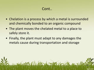 Cont..
• Chelation is a process by which a metal is surrounded
and chemically bonded to an organic compound
• The plant moves the chelated metal to a place to
safely store it.
• Finally, the plant must adapt to any damages the
metals cause during transportation and storage
19
 