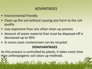 ADVANTAGES
• Environmental friendly
• Clean up the soil without causing any harm to the soil
quality
• Less expensive than any other clean up process
• Amount of waste material that must be disposed off is
decreased up to 95%
• In some cases contaminant can be recycled
DISADVANTAGES
As this process is controlled by plants, it takes more time
than anthropogenic soil clean-up methods.
21
 