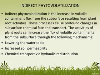 INDIRECT PHYTOVOLATILIZATION
• Indirect phytovolatilization is the increase in volatile
contaminant flux from the subsurface resulting from plant
root activities. These processes cause profound changes in
subsurface chemical fate and transport. The activities of
plant roots can increase the flux of volatile contaminants
from the subsurface through the following mechanisms:
• Lowering the water table
• Increased soil permeability
• Chemical transport via hydraulic redistribution
 