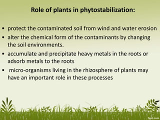 Role of plants in phytostabilization:
• protect the contaminated soil from wind and water erosion
• alter the chemical form of the contaminants by changing
the soil environments.
• accumulate and precipitate heavy metals in the roots or
adsorb metals to the roots
• micro-organisms living in the rhizosphere of plants may
have an important role in these processes
 