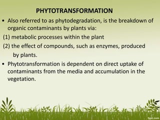 PHYTOTRANSFORMATION
• Also referred to as phytodegradation, is the breakdown of
organic contaminants by plants via:
(1) metabolic processes within the plant
(2) the effect of compounds, such as enzymes, produced
by plants.
• Phytotransformation is dependent on direct uptake of
contaminants from the media and accumulation in the
vegetation.
 