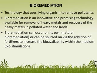 BIOREMEDIATION
• Technology that uses living organism to remove pollutants.
• Bioremediation is an innovative and promising technology
available for removal of heavy metals and recovery of the
heavy metals in polluted water and lands.
• Bioremediation can occur on its own (natural
bioremediation) or can be spurred on via the addition of
fertilizers to increase the bioavailability within the medium
(bio stimulation).
 