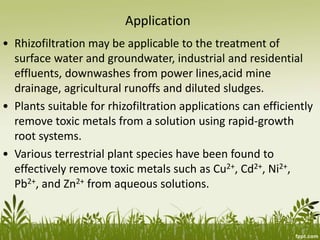 Application
• Rhizofiltration may be applicable to the treatment of
surface water and groundwater, industrial and residential
effluents, downwashes from power lines,acid mine
drainage, agricultural runoffs and diluted sludges.
• Plants suitable for rhizofiltration applications can efficiently
remove toxic metals from a solution using rapid-growth
root systems.
• Various terrestrial plant species have been found to
effectively remove toxic metals such as Cu2+, Cd2+, Ni2+,
Pb2+, and Zn2+ from aqueous solutions.
 