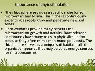 Importance of phytostimulation
• The rhizosphere provides a specific niche for soil
microorganisms to live. This niche is continuously
expanding as roots grow and penetrate new soil
zones.
• Root exudates provide many benefits for
microorganism growth and activity. Root released
compounds have many roles in phytostimulation
because they often mimic man-made pollutants. The
rhizosphere serves as a unique soil habitat, full of
organic compounds that may serve as energy sources
for microorganisms.
 