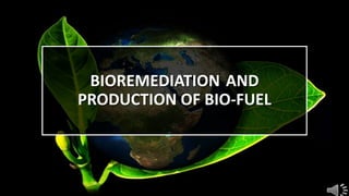 BIOREMEDIATION AND
PRODUCTION OF BIO-FUEL
 