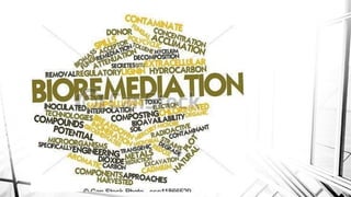 Bioremediation as a treatment method.pdf