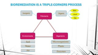 Organisms
Pollutants
Environments
Inorganic Organic
Solid
Liquid
Gas
Soil
Water
Air
Microorganisms
Plants
Enzymes
 