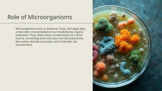 Bioremediation_ Microbial Solutions for Pollution.pptx