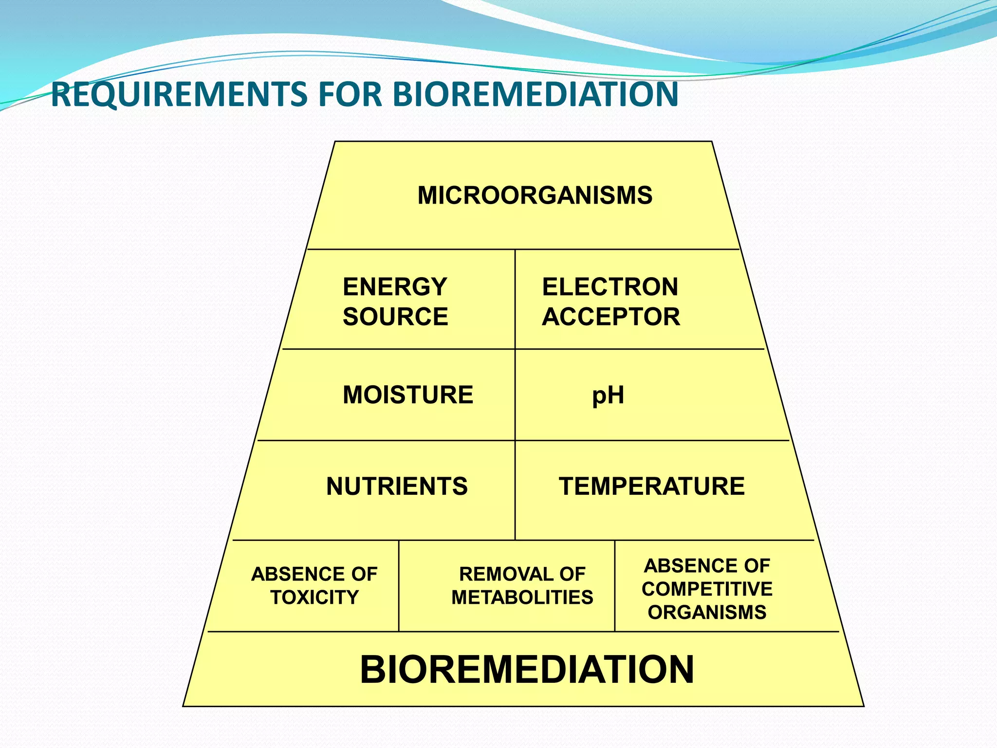 REQUIREMENTS FOR BIOREMEDIATION
MICROORGANISMS

ENERGY
SOURCE

ELECTRON
ACCEPTOR

MOISTURE

NUTRIENTS

ABSENCE OF
TOXICITY

pH

TEMPERATURE

REMOVAL OF
METABOLITIES

ABSENCE OF
COMPETITIVE
ORGANISMS

BIOREMEDIATION

 