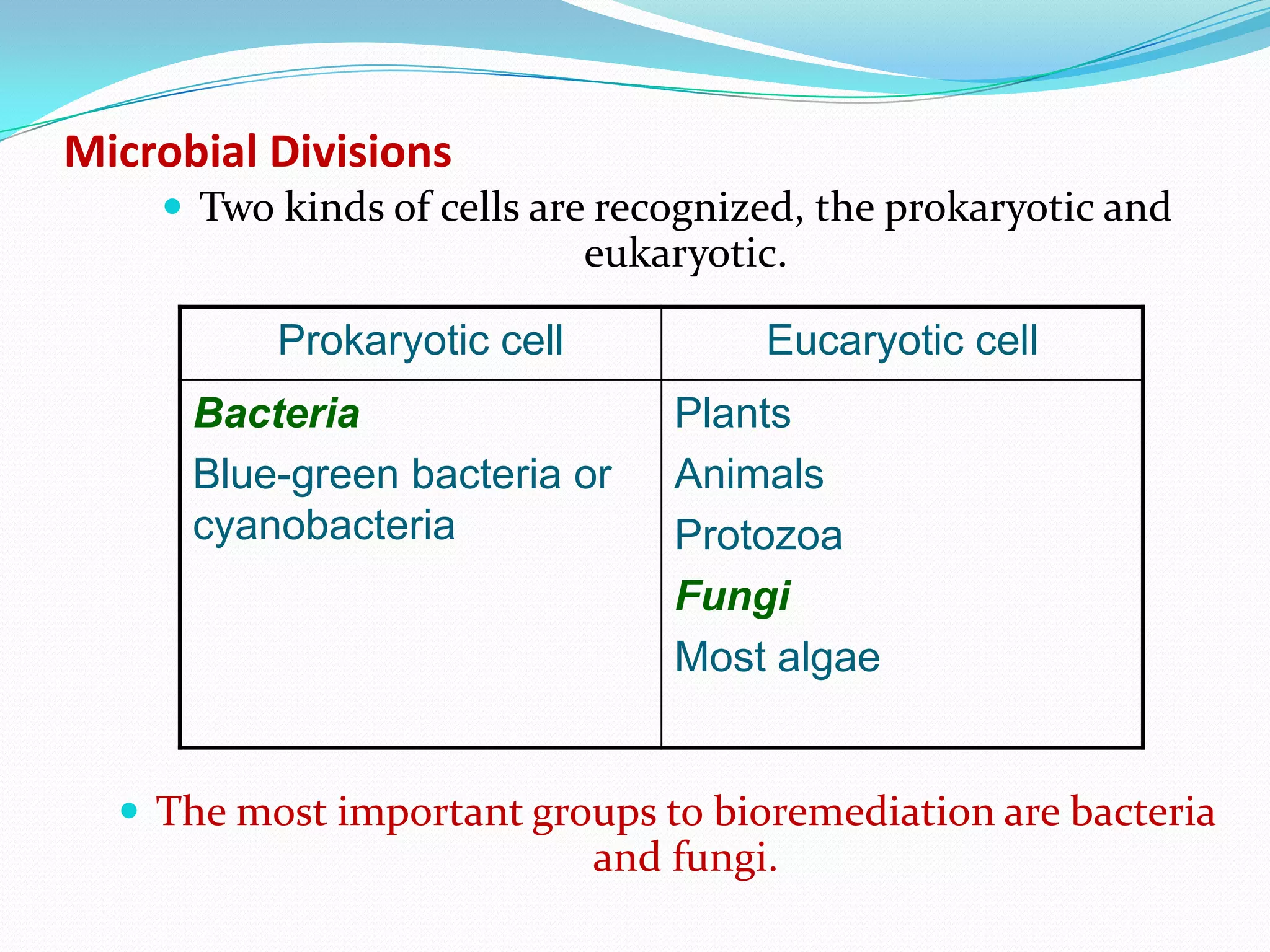 Microbial Divisions
 Two kinds of cells are recognized, the prokaryotic and

eukaryotic.

Prokaryotic cell

Eucaryotic cell

Bacteria
Blue-green bacteria or
cyanobacteria

Plants
Animals
Protozoa
Fungi
Most algae

 The most important groups to bioremediation are bacteria

and fungi.

 
