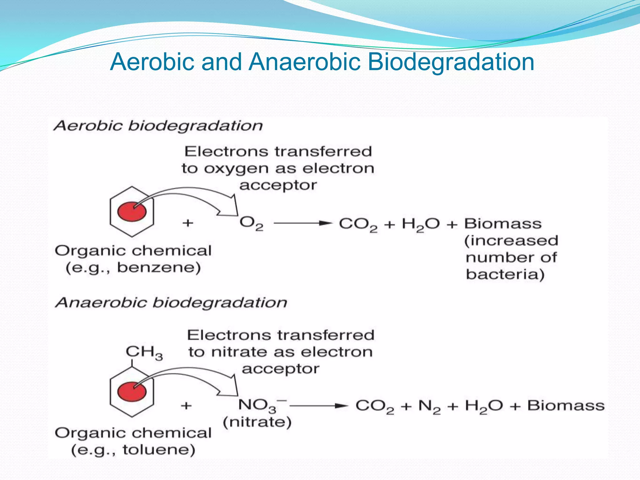 Aerobic and Anaerobic Biodegradation

 
