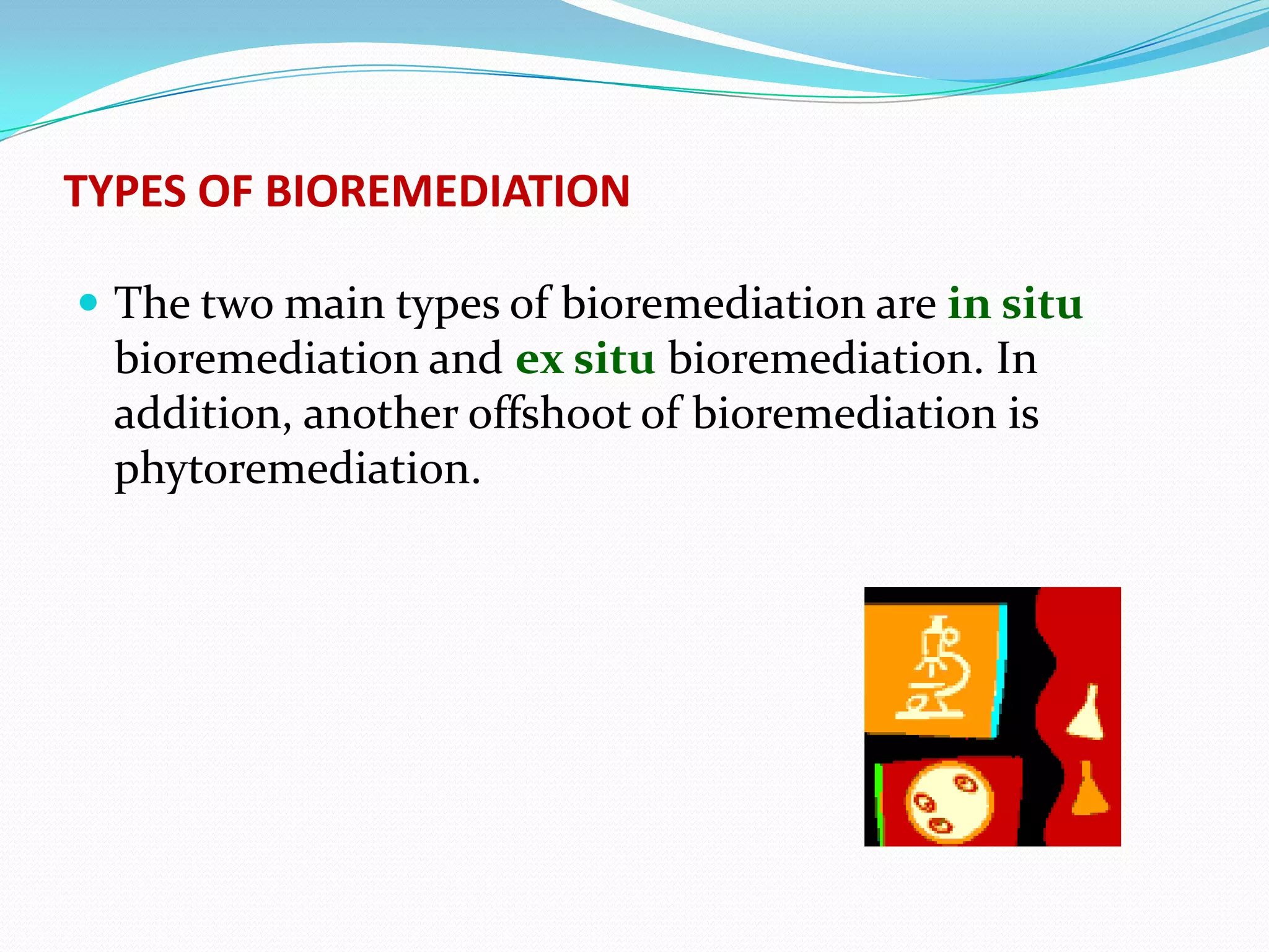 TYPES OF BIOREMEDIATION
 The two main types of bioremediation are in situ

bioremediation and ex situ bioremediation. In
addition, another offshoot of bioremediation is
phytoremediation.

 