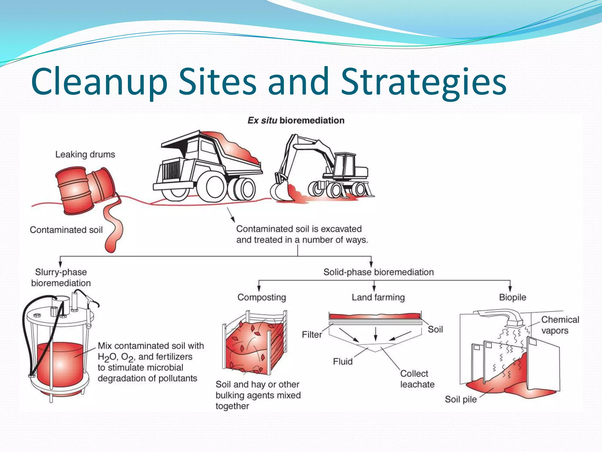 Cleanup Sites and Strategies

 
