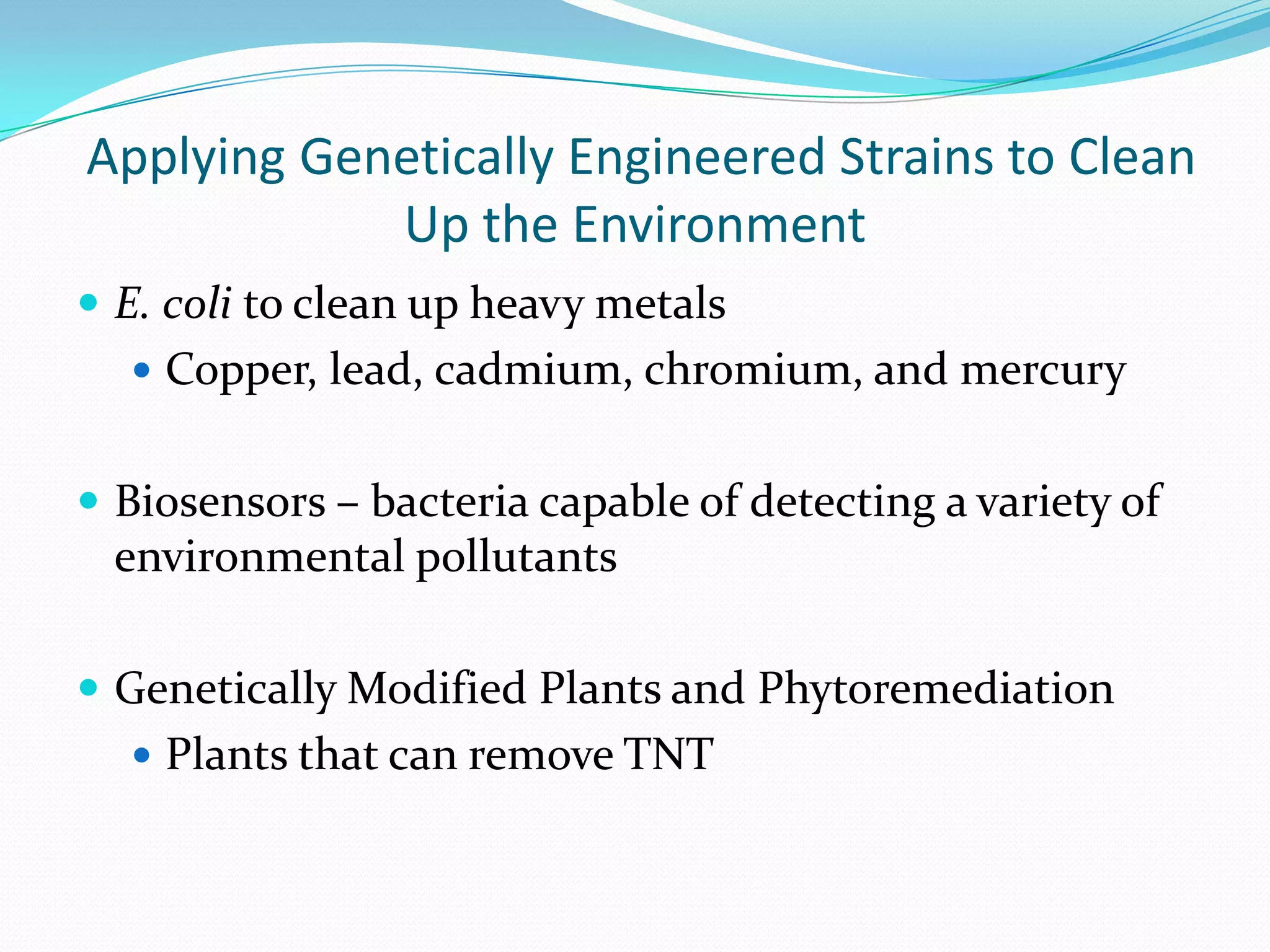 Applying Genetically Engineered Strains to Clean
Up the Environment
 E. coli to clean up heavy metals
 Copper, lead, cadmium, chromium, and mercury

 Biosensors – bacteria capable of detecting a variety of

environmental pollutants
 Genetically Modified Plants and Phytoremediation
 Plants that can remove TNT

 