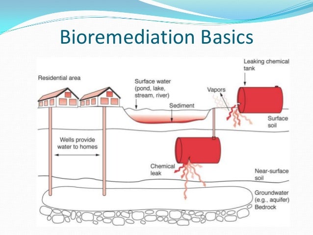 Bioremediation of contaminated soils