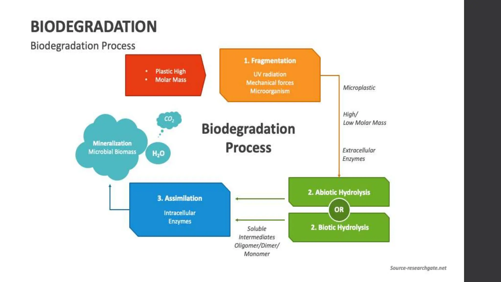 Bioremediation Techniques For Soil Pollution photo